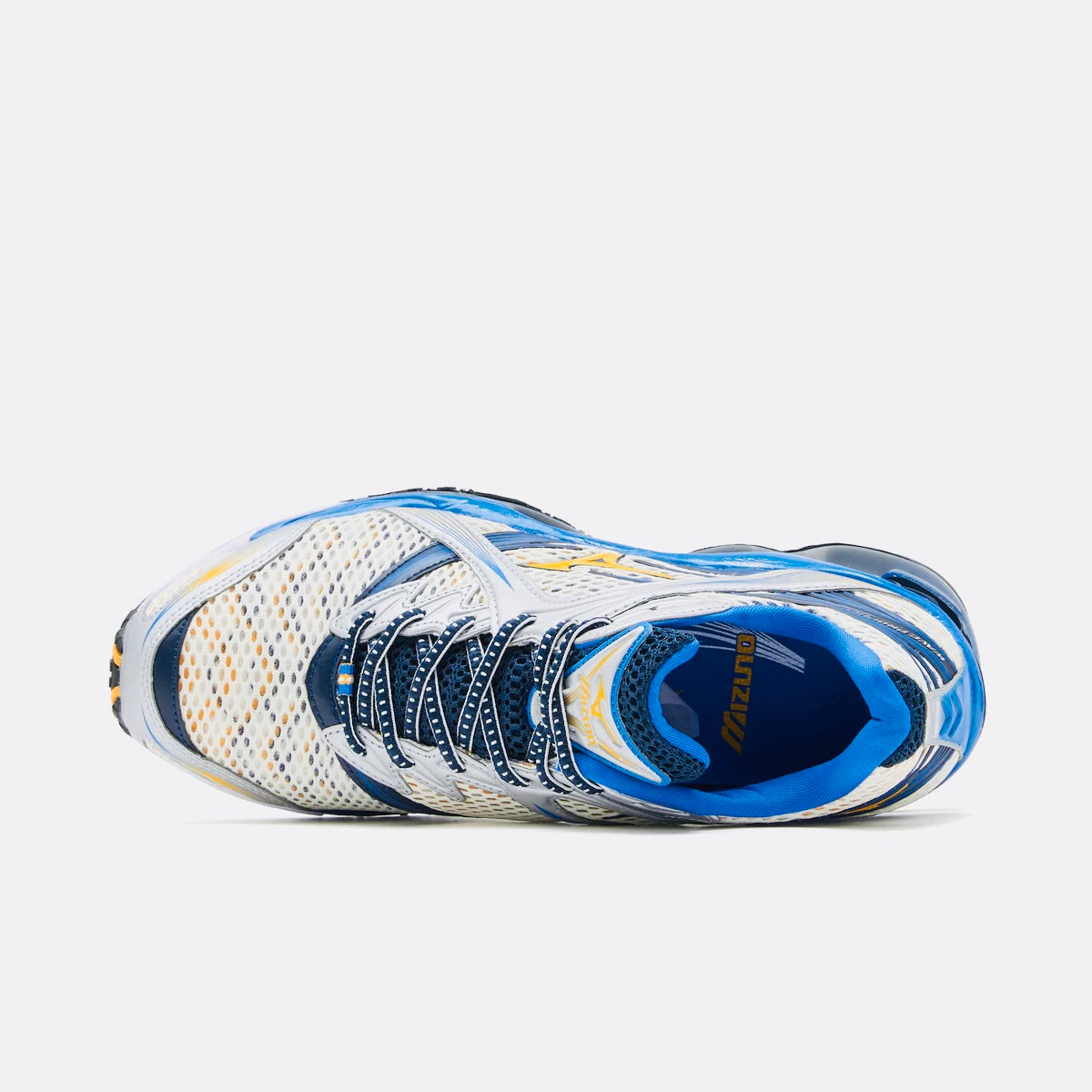 Wave Prophecy 1