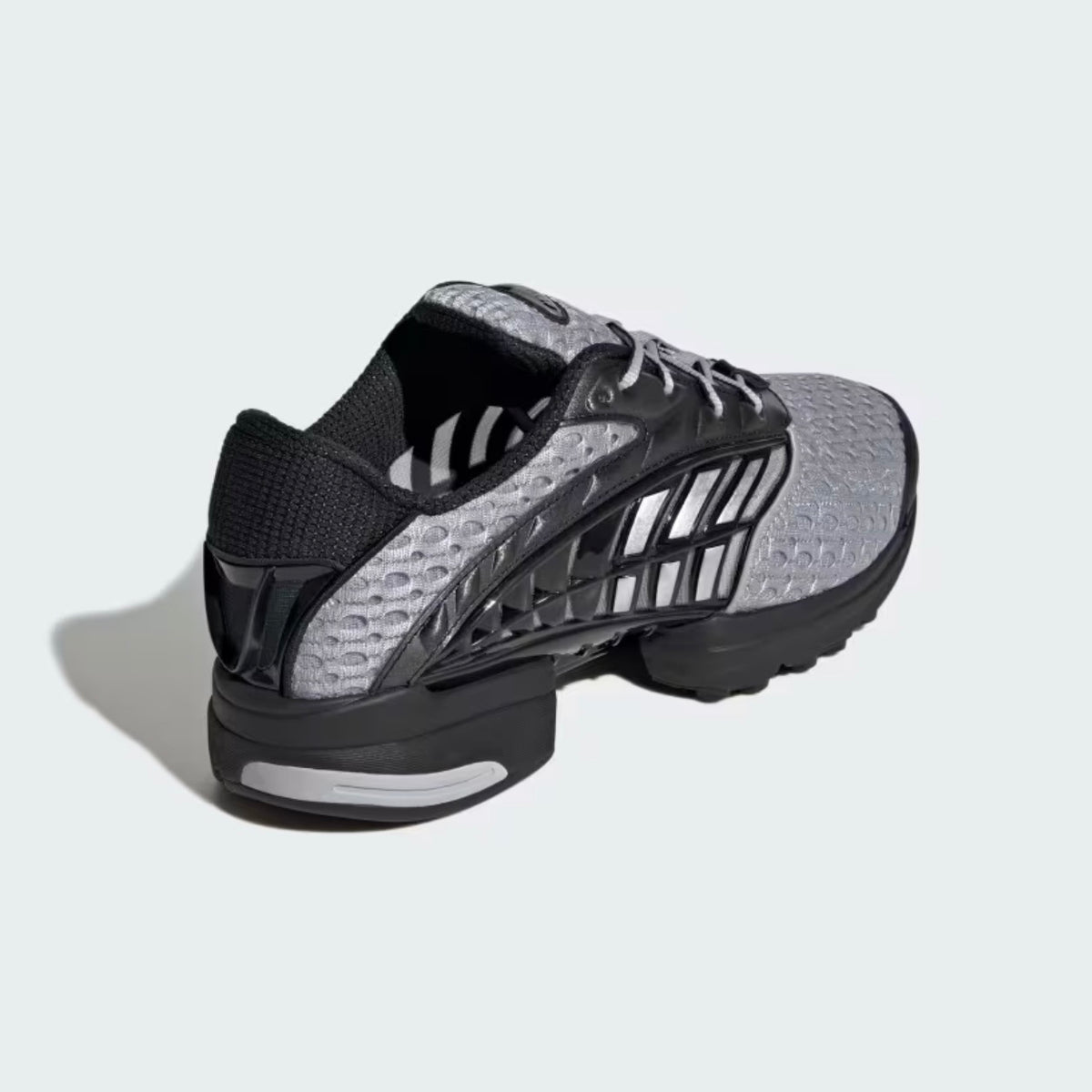 Climacool 2